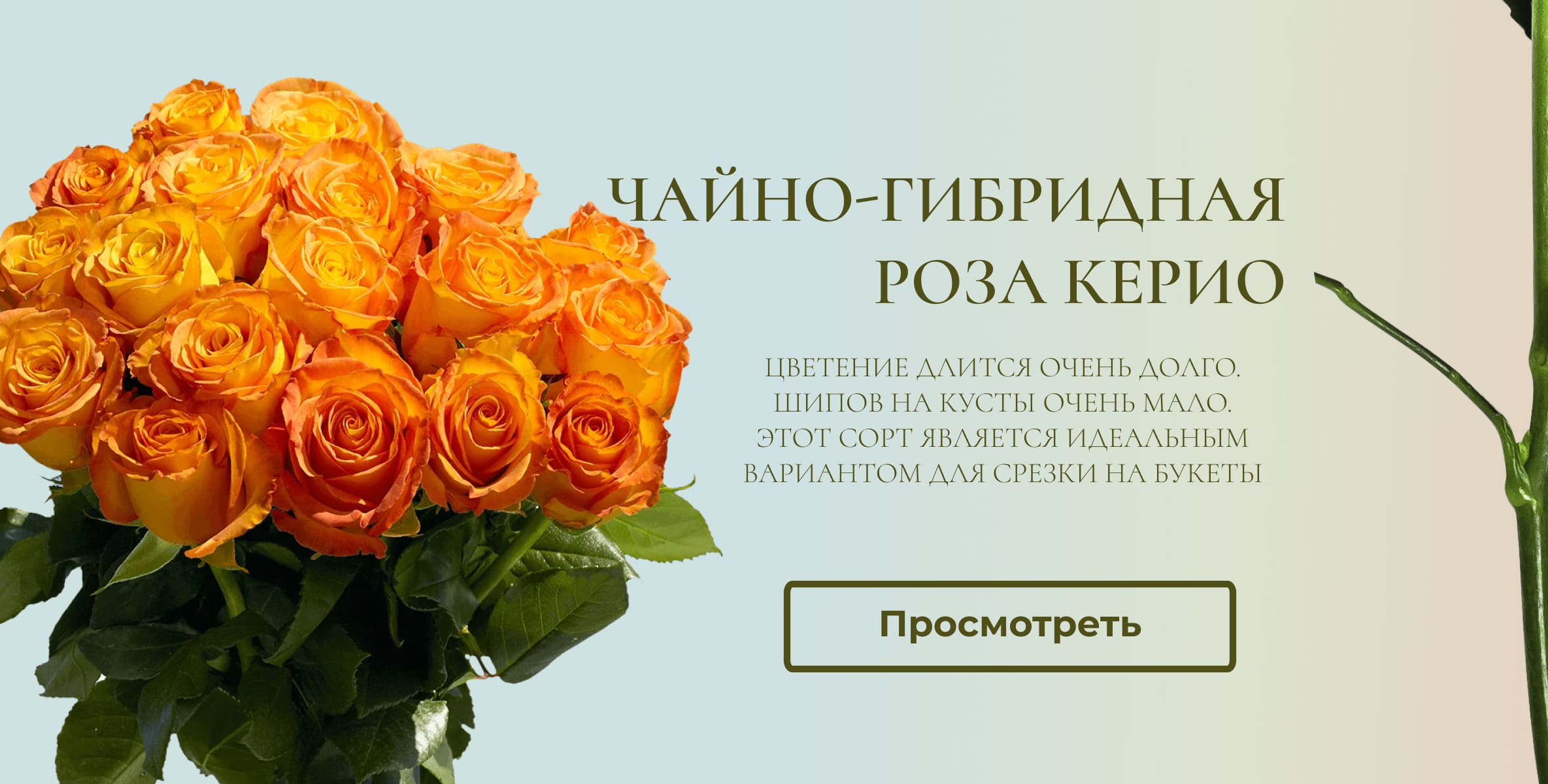 Керио